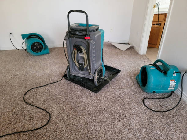 Best Emergency water extraction  in Fennimore, WI