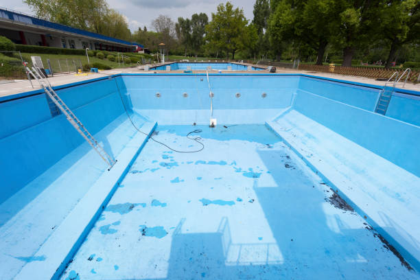 Best Basement water damage restoration  in Fennimore, WI
