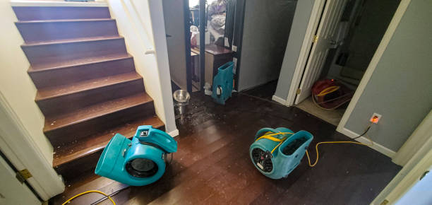 Best Ceiling water damage repair  in Fennimore, WI