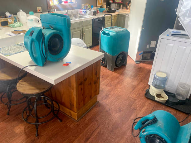 Best 24/7 water damage repair  in Fennimore, WI
