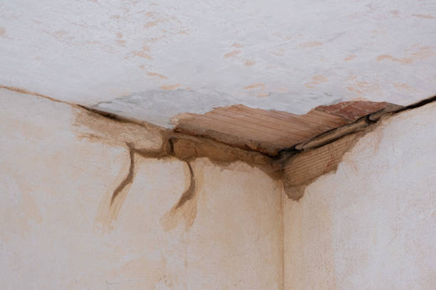 Best Commercial water damage restoration  in Fennimore, WI