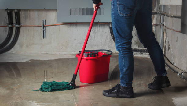 Best Flooded house restoration  in Fennimore, WI
