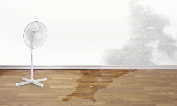 Best Sewage cleanup and water damage restoration  in Fennimore, WI
