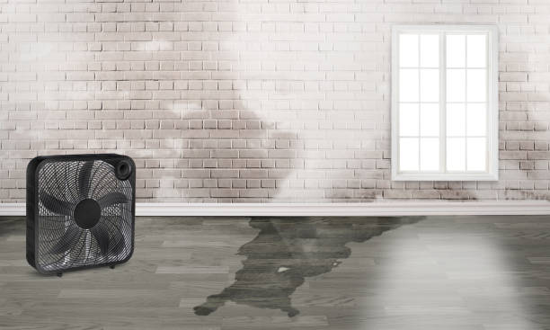 Best Flood restoration services  in Fennimore, WI