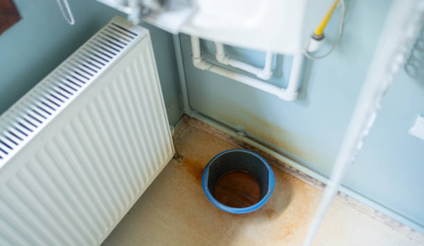 Best Flooded house restoration  in Fennimore, WI