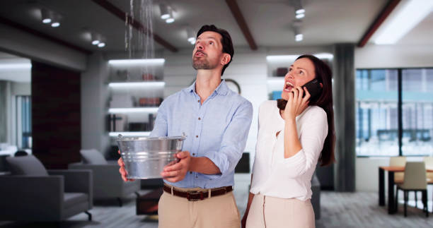 Best Residential water damage restoration  in Fennimore, WI