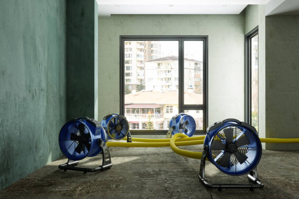 Best Professional water damage repair  in Fennimore, WI